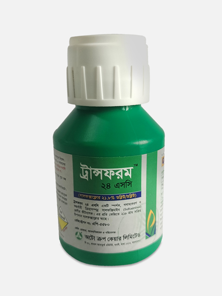 Transform™ 24 SC
